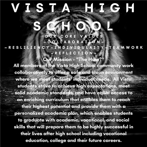 vhs our core values